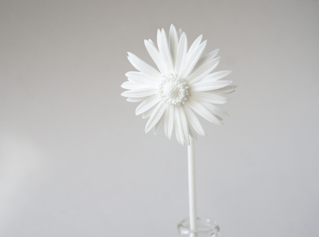 Picked Daisy 2 in White Natural Versatile Plastic