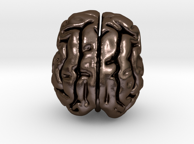 Cheetah brain in Polished Bronze Steel