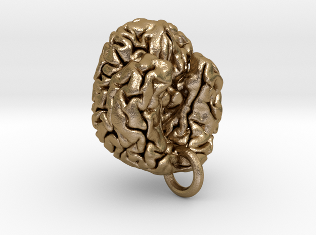 Human brain in Polished Gold Steel