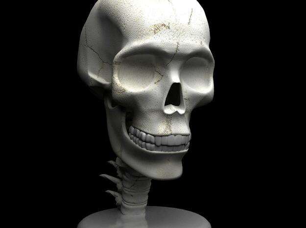 Skull - 4" tall in White Natural Versatile Plastic