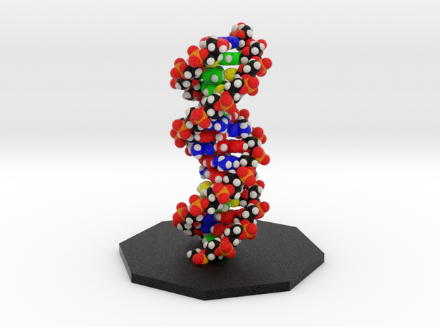 Crick DNA Molecule Model. in Full Color Sandstone: Small