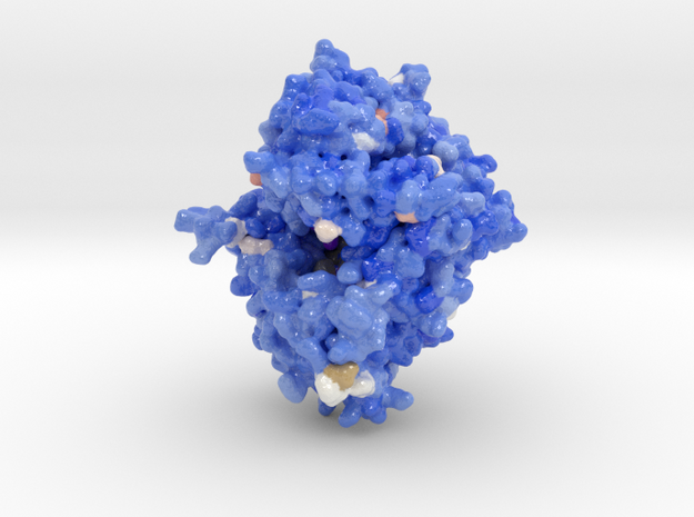 DPP-4 in Complex with Inhibitor 2RGU in Glossy Full Color Sandstone: Small
