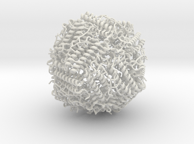 Human Ferritin Ribbon Structure in White Natural Versatile Plastic