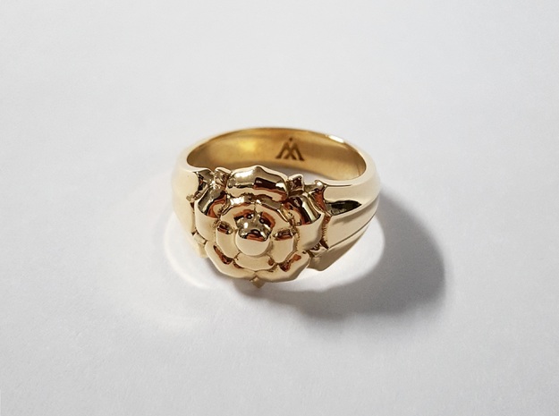 Tyrell Ring in Polished Brass: 10 / 61.5