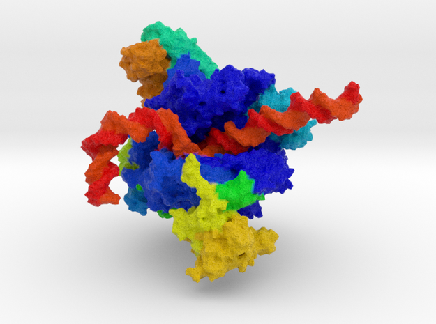 RNA Polymerase I in Natural Full Color Sandstone: Small