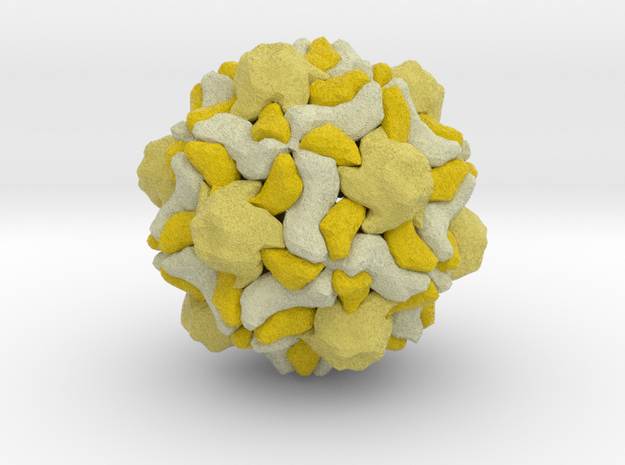 Turnip Yellow Mosaic Virus in Full Color Sandstone