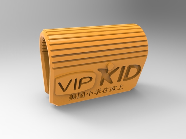 VIPKIDclip Webcam Security Clip