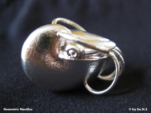 Nautilus Pendant  in Natural Silver