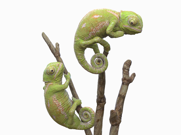 Chameleon desktop display in Glossy Full Color Sandstone: Medium