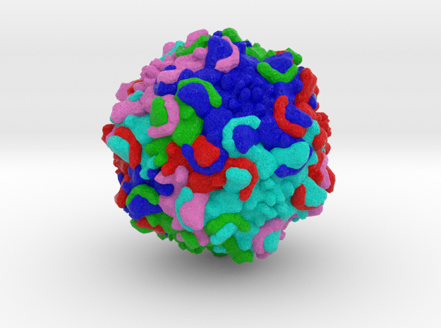 Bufavirus in Full Color Sandstone