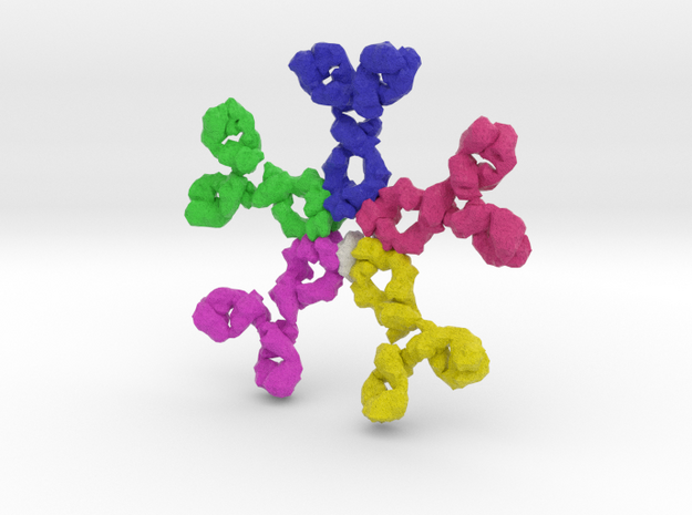 Immunoglobulin M  (IgM) in Full Color Sandstone