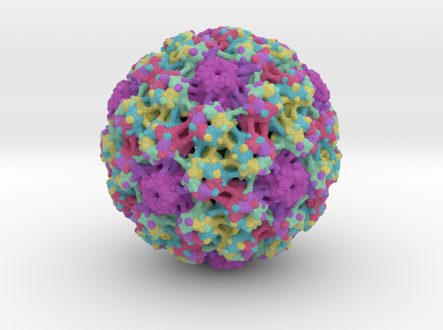 Human Papillomavirus in Full Color Sandstone