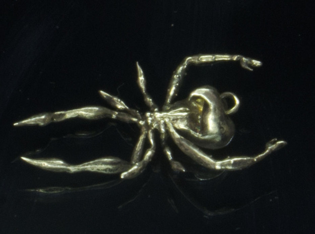 Spider Pendant - Beautiful Hunter in Polished Silver