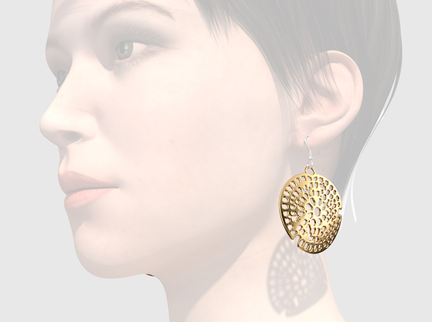 Radiolarian earrings in Polished Brass