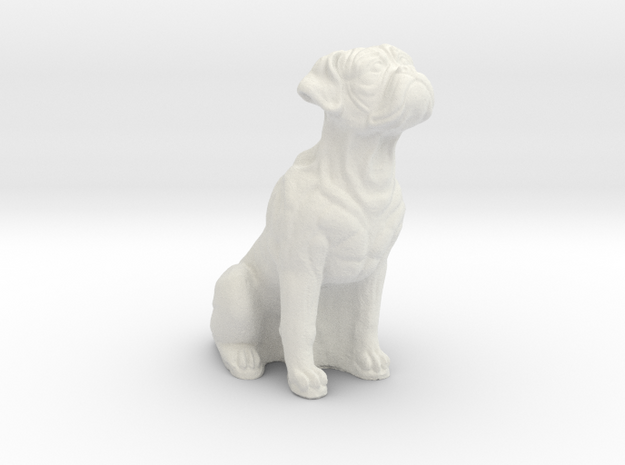 Boxer dog in White Natural Versatile Plastic