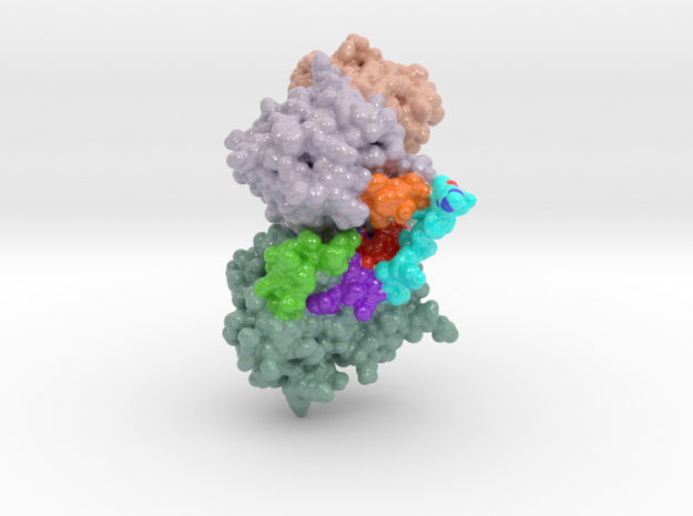 DXP Synthase-Open 60UW in Glossy Full Color Sandstone: Small