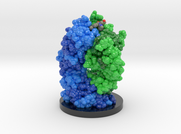 Antibody FAB Antidote for Dabigatran and Base 4JN2 in Glossy Full Color Sandstone: Medium