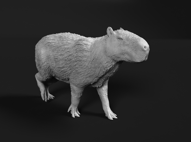 Capybara 1:35 Walking Male in Smooth Fine Detail Plastic