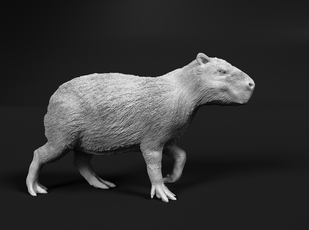 Capybara 1:35 Walking Young in Smooth Fine Detail Plastic