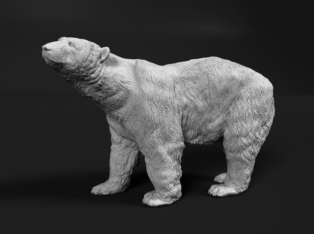 Polar Bear 1:35 Large Male in White Natural Versatile Plastic