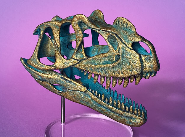 Ceratosaurus skull - dinosaur model in White Natural Versatile Plastic: 1:10