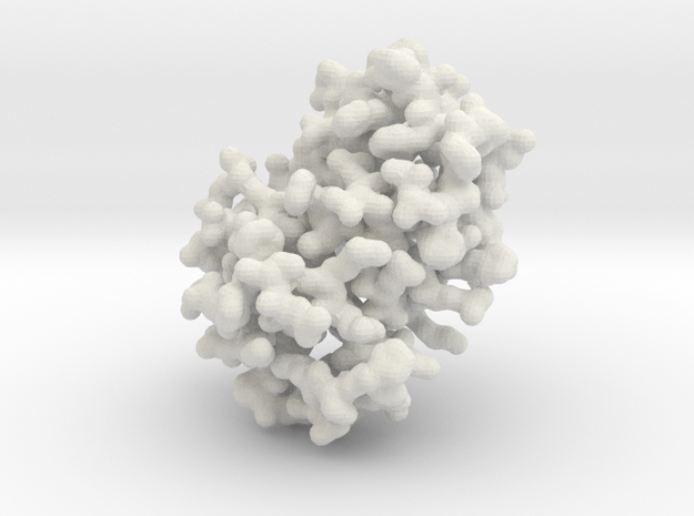 Human Hemoglobin - Monomer, all atom in White Natural Versatile Plastic