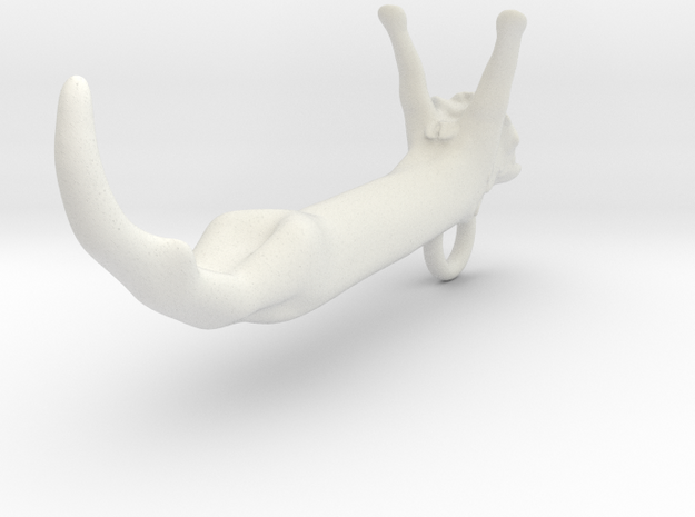 Longcat pendant in White Natural Versatile Plastic