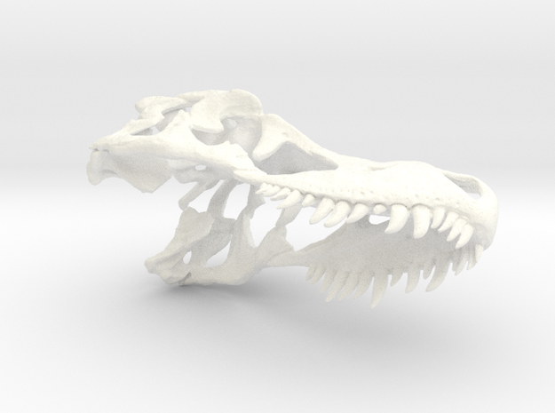 Tyrannosaurus Skull Keychain  in White Processed Versatile Plastic