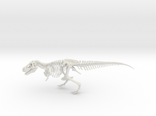 Dinosaur Tyrannosaurus rex Skeleton in White Natural Versatile Plastic