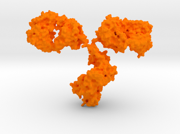 Antibody IgG small in Orange Processed Versatile Plastic