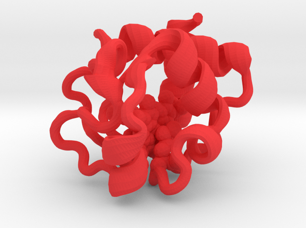 Cytochrome c (small) in Red Processed Versatile Plastic