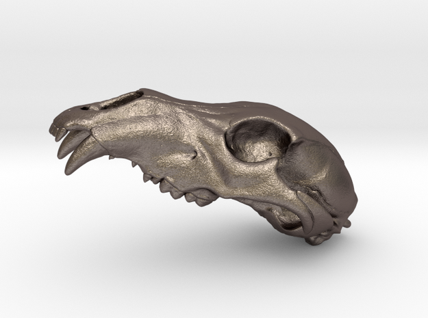 Bear Skull. WT-1. 6cm in Polished Bronzed Silver Steel