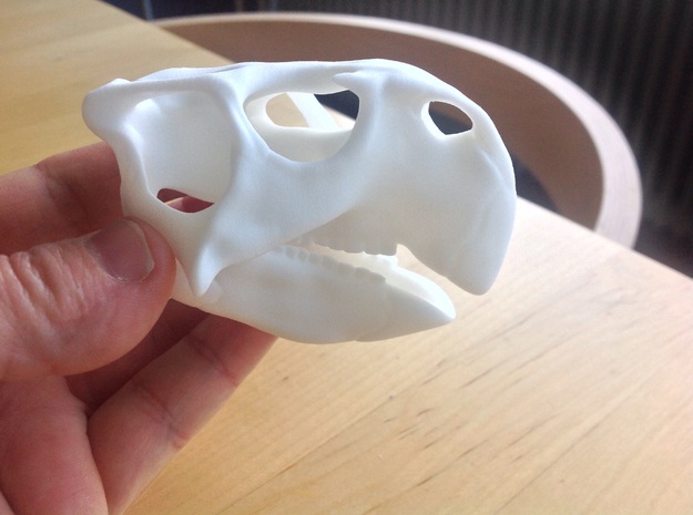 Skull Psittacosaurus in White Natural Versatile Plastic