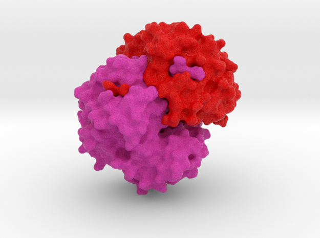 Hemoglobin - 10 million X  in Full Color Sandstone