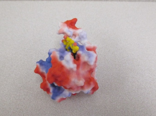 Phytochrome B in Full Color Sandstone