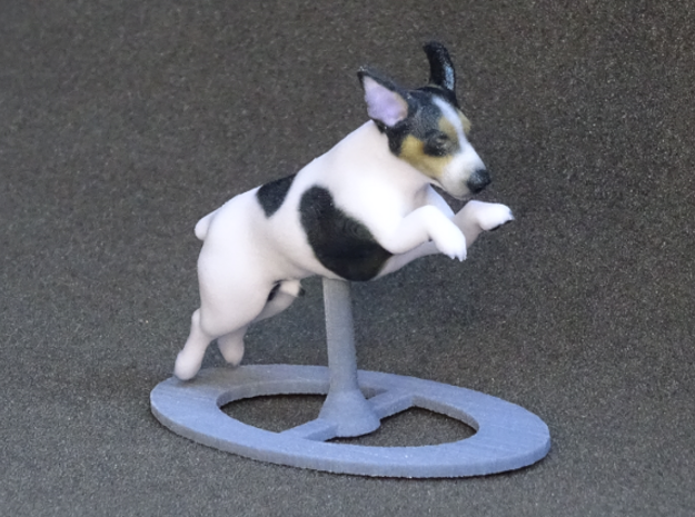 Jumping Up Jack Russell Terrier 1 in Full Color Sandstone