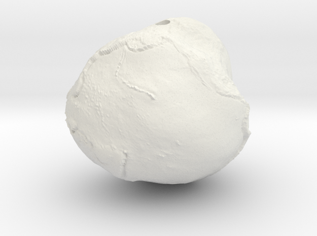 Geoid - 1" diameter hollow earth gravity model in White Natural Versatile Plastic