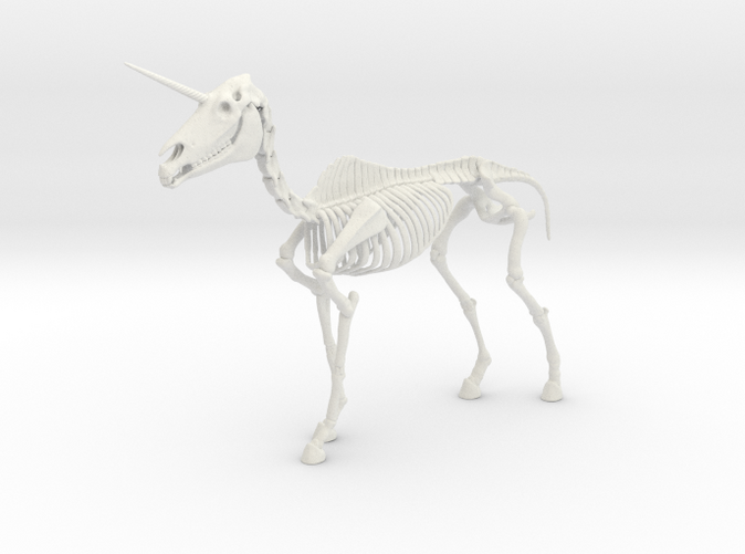 Скелет единорога в музее. Скелетный Единорог. Скелет единорога