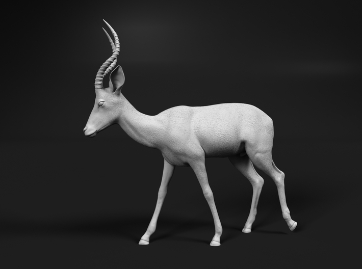 miniNature's 3D printing animals - Update January 5: multiple new models and appearance on Dutch tv - Page 2 710x528_19058403_11125945_1496700049