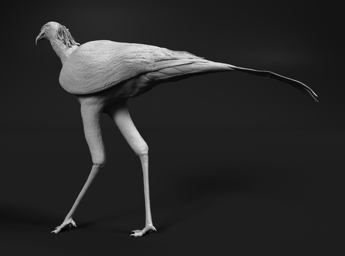 miniNature's 3D printing animals - Update January 5: multiple new models and appearance on Dutch tv - Page 2 710x528_19639527_11378039_1500934560