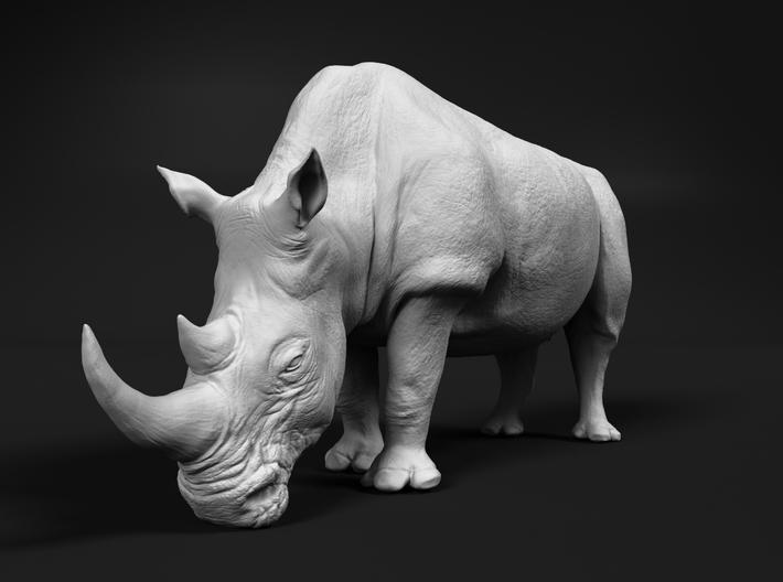 miniNature's 3D printing animals - Update May 20: Finally Hyenas and more - Page 3 710x528_19715867_11410507_1501502598