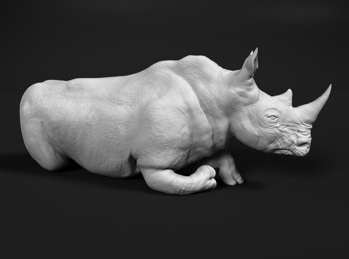 miniNature's 3D printing animals - Update May 20: Finally Hyenas and more - Page 3 710x528_19715930_11410518_1501502807