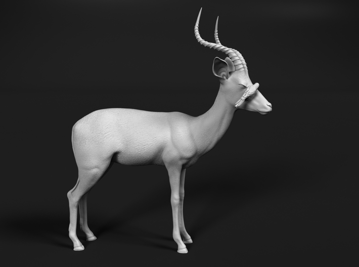 miniNature's 3D printing animals - Update May 20: Finally Hyenas and more - Page 4 710x528_20226316_11627727_1505085622