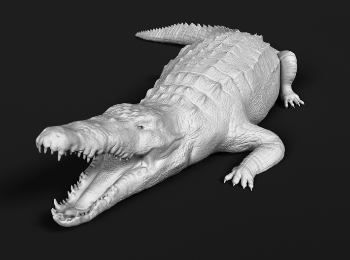 miniNature's 3D printing animals - Update May 20: Finally Hyenas and more - Page 4 710x528_20539105_11744462_1507056002