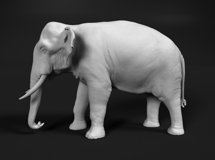 miniNature's 3D printing animals - Update May 20: Finally Hyenas and more - Page 10 710x528_25636816_13925842_1542496771