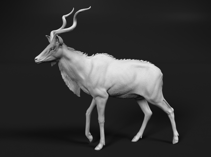 miniNature's 3D printing animals - Update May 20: Finally Hyenas and more - Page 10 710x528_25719765_13975113_1543200524