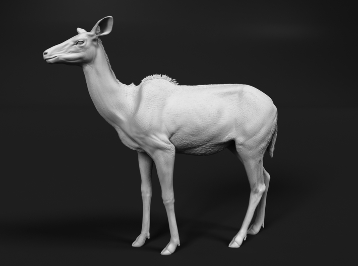 miniNature's 3D printing animals - Update May 20: Finally Hyenas and more - Page 11 710x528_26165118_14233352_1547302047