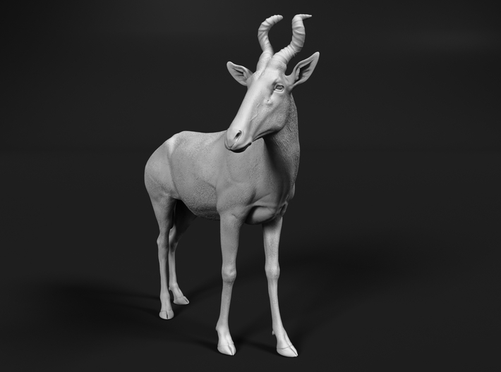 miniNature's 3D printing animals - Update May 20: Finally Hyenas and more - Page 12 710x528_27568676_14913661_1557608051