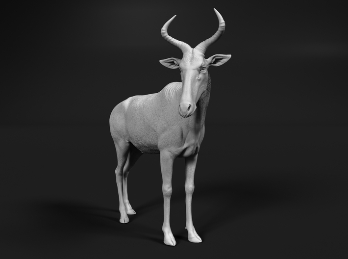 miniNature's 3D printing animals - Update May 20: Finally Hyenas and more - Page 12 710x528_27574467_14916722_1557665186