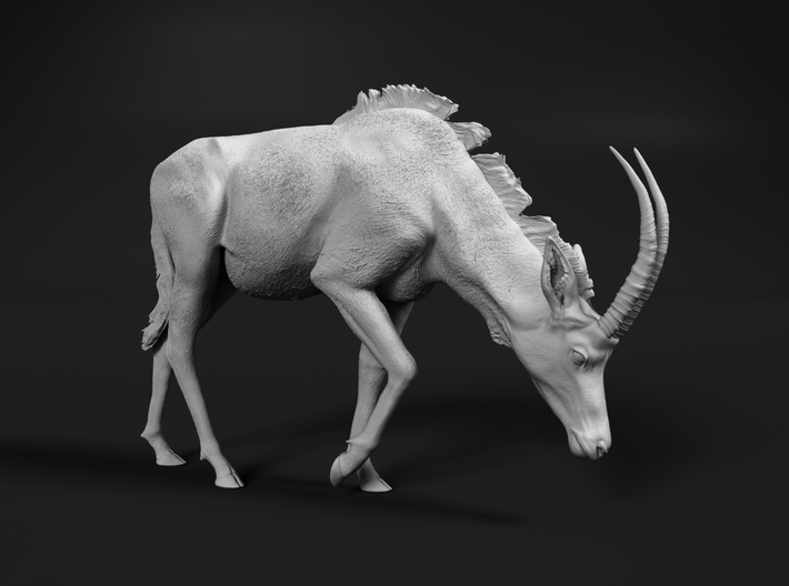miniNature's 3D printing animals - Update May 20: Finally Hyenas and more - Page 15 710x528_32160670_17024515_1595447088